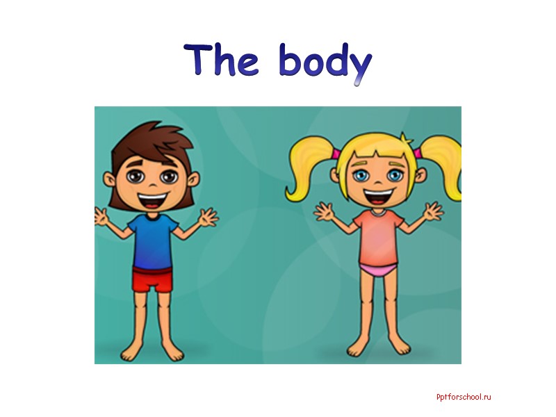The body Pptforschool.ru